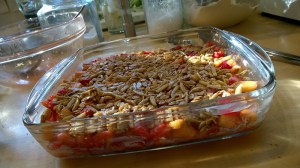 Strawberry Lime Mango Crisp to the rescue_800