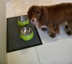 07_DateWithASpitzkohl_04